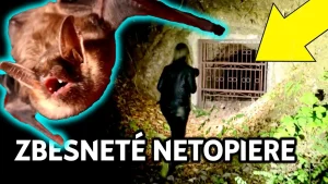 opustene miesta v gelnici
