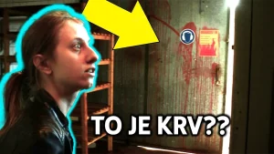 opustene studio v holandsku