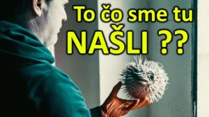 tabacka smolnik